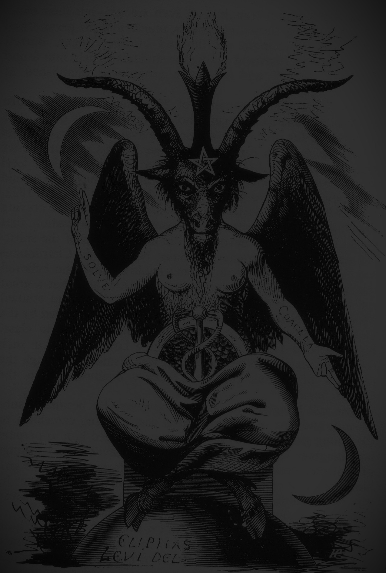 Centered Image